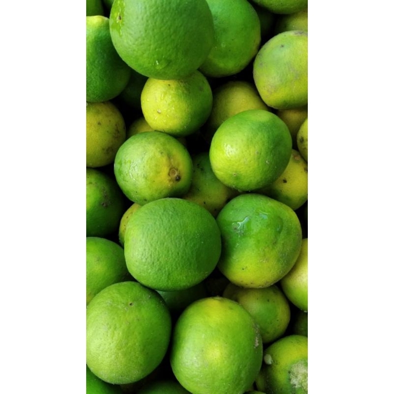 

JERUK NIPIS 500 GRAM