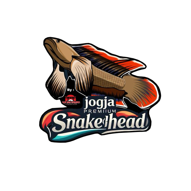 limbata HF x slayer 5-6cm