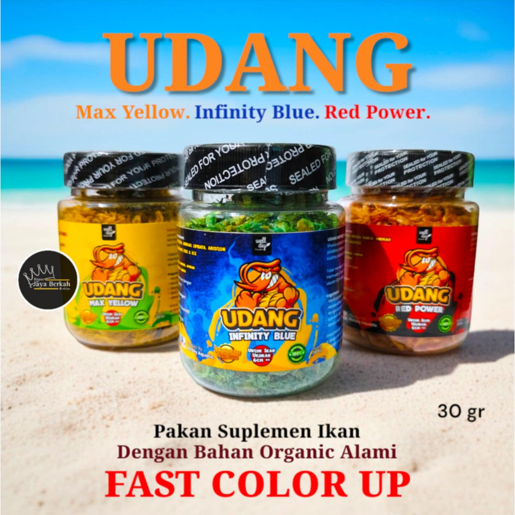 Udang Kering Pakan Ikan Channa Maru Blue Pulchra Predator