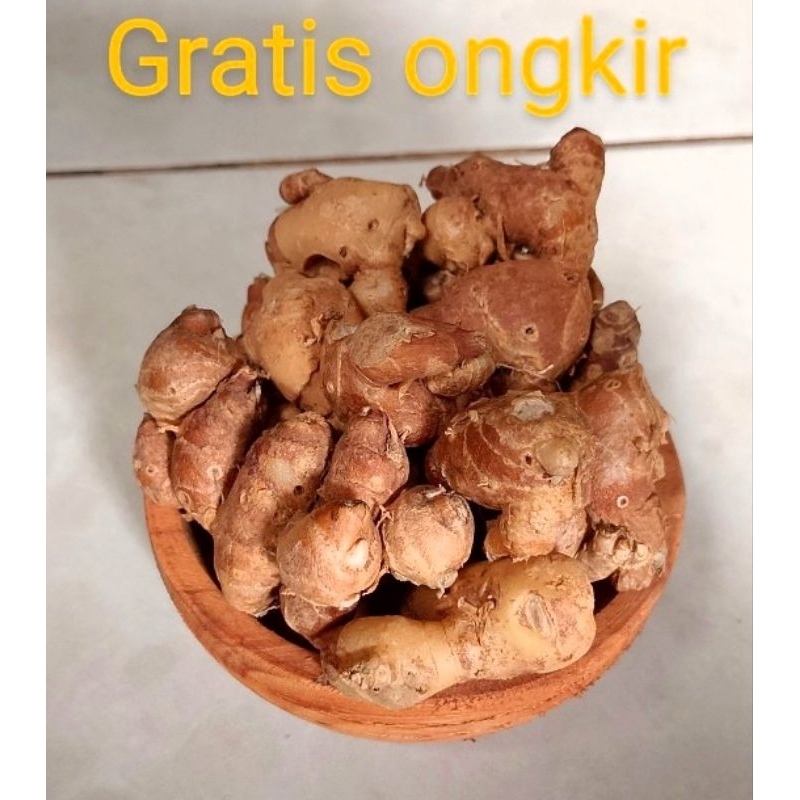 

kencur Jawa tua" minim tanah Fress segar...minim tanah 1kg.. gratis ongkir