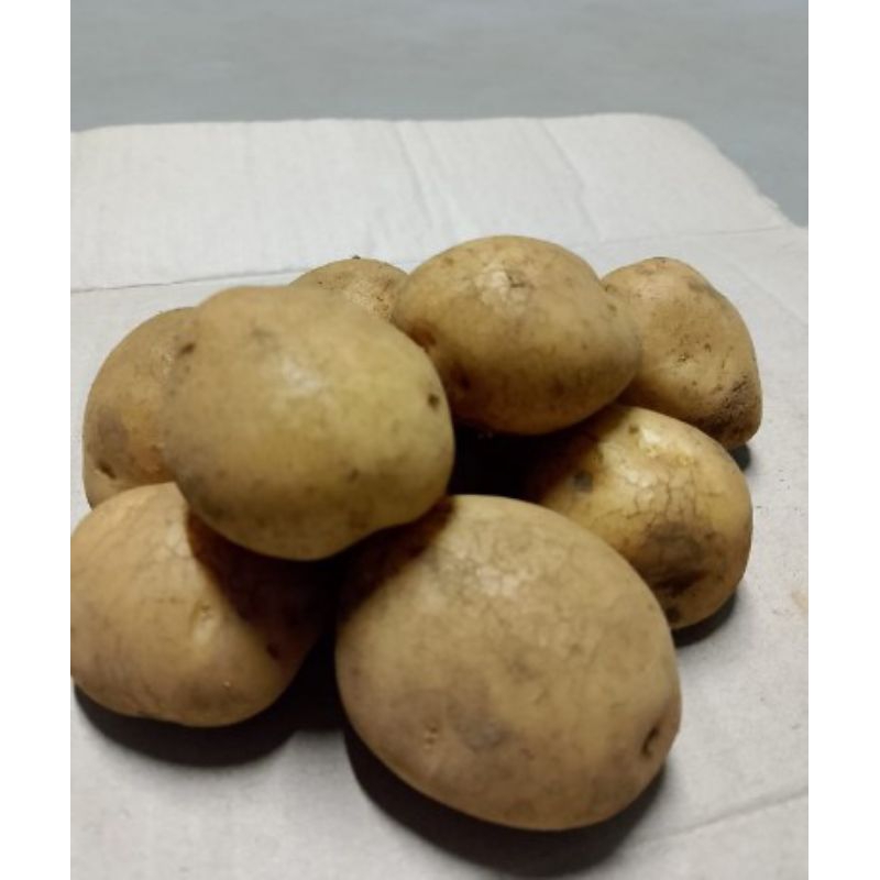 

Forcysn Kentang Segar [ Ukuran Sedang 1 Kg ]