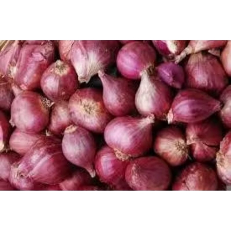 

Bawang Merah Jawa 250g