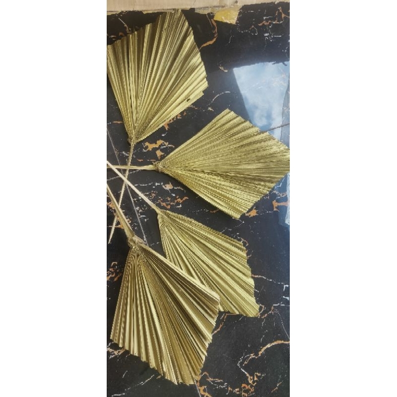 daun palm kering daun dekorasi daun kering hiasan