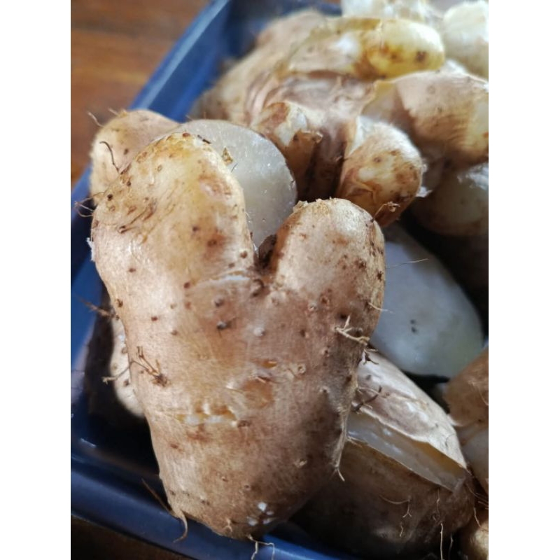 

GEMBILI SUPER 1KG