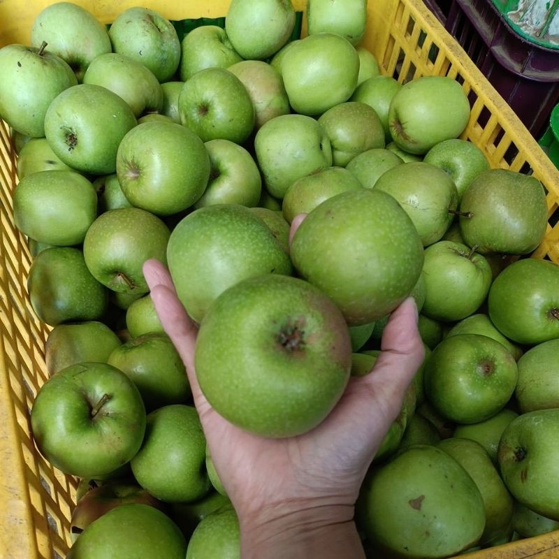 

Apel hijau granny smith 1kg untuk diet 10- 15 dalam 1kg