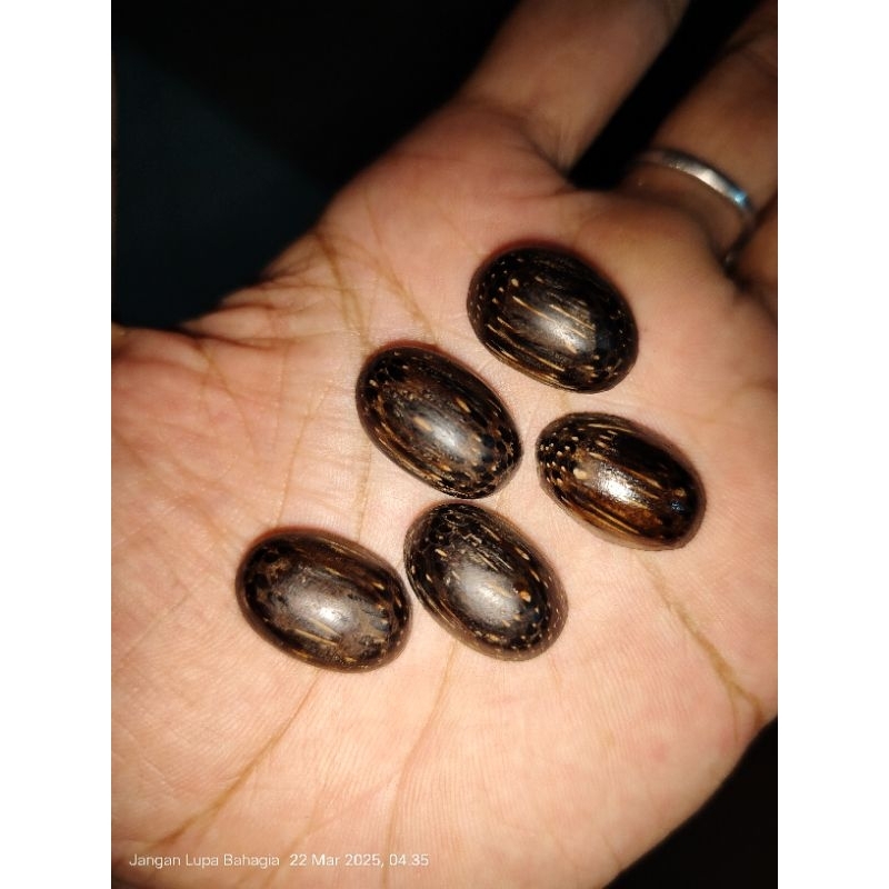 Mata cincin galih kayu liwung macan origin Gn.Slamet | ready nagasari galih asem setigi bidara gahar
