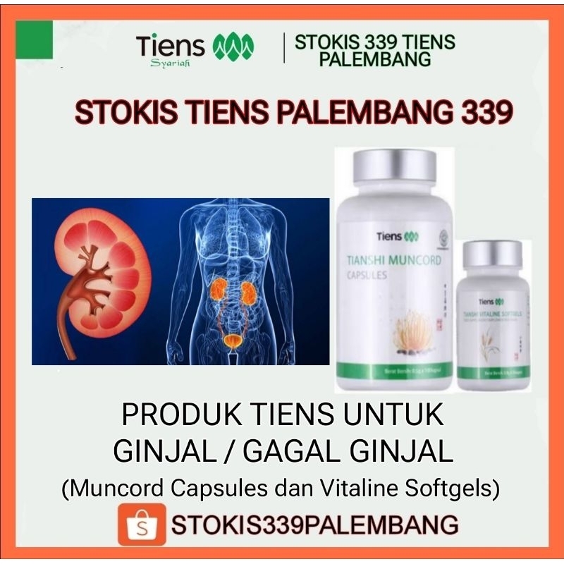 PRODUK TIENS UNTUK GAGAL GINJAL / OBAT GAGAL GINJAL