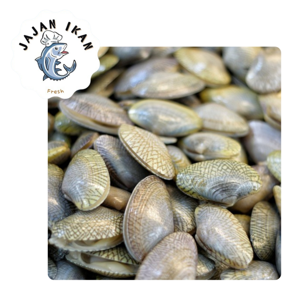 

Kerang Batik [JAJAN IKAN] Kerang Batik Seafood Frozen 1KG