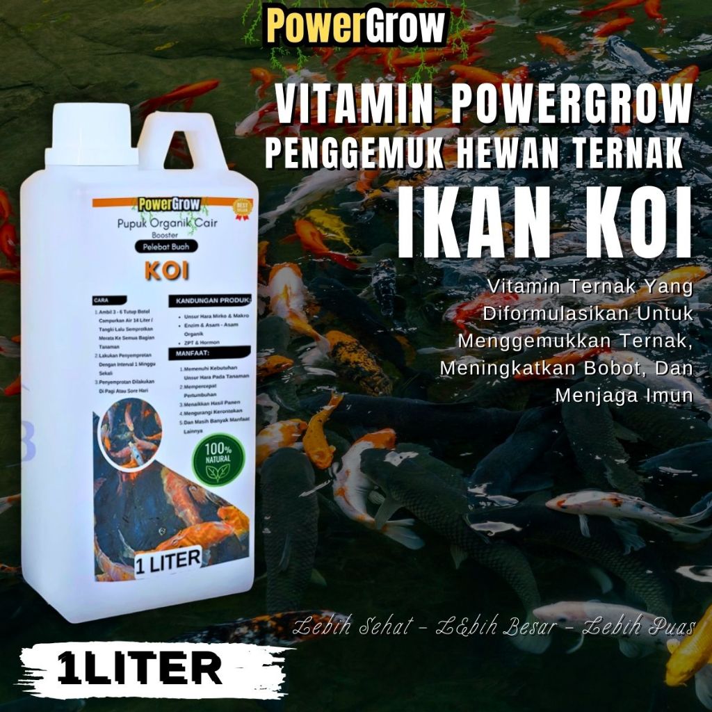 Vitamin Ikan Koi Agar CEpat Besar Dan Gemuk Vitamin Ikan Koi Penggemuk Ikan Menjaga Imunitas Tubuh