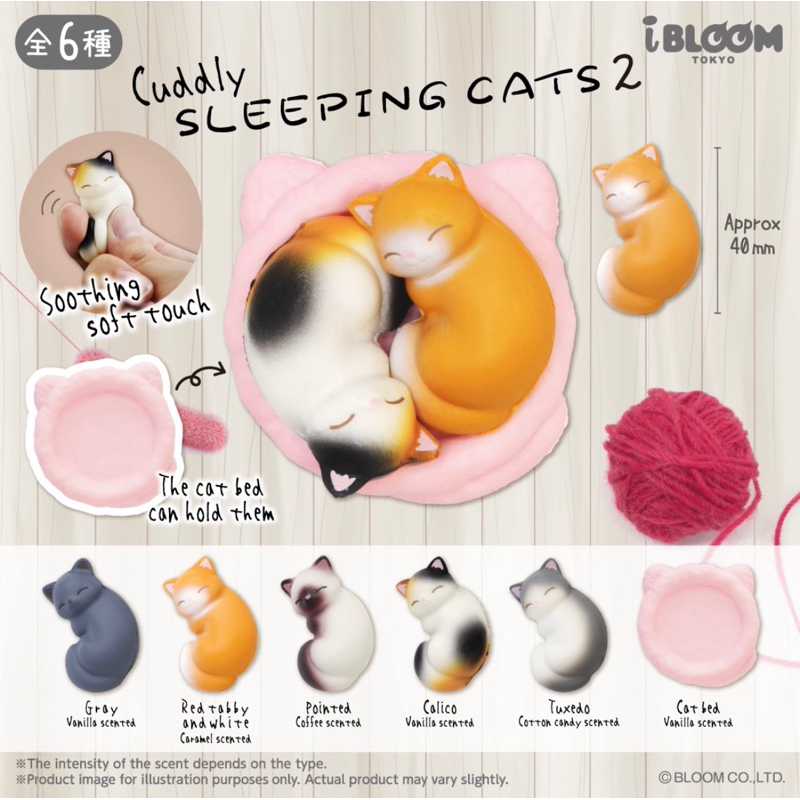 READY STOCK mini sleeping cat gachapon squishy V.02 by Ibloom Japan