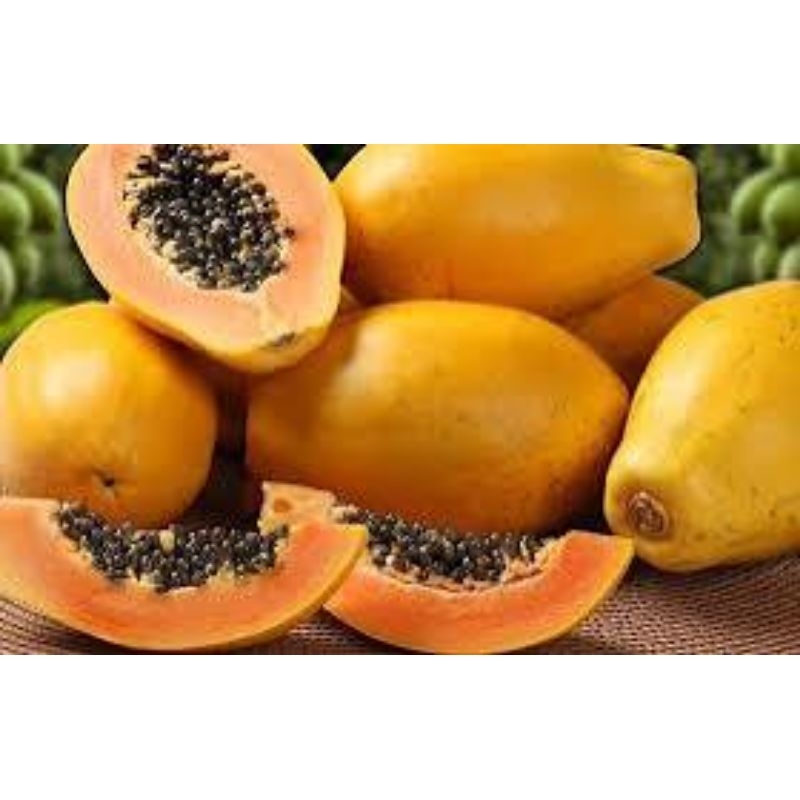 

pepaya california /buah