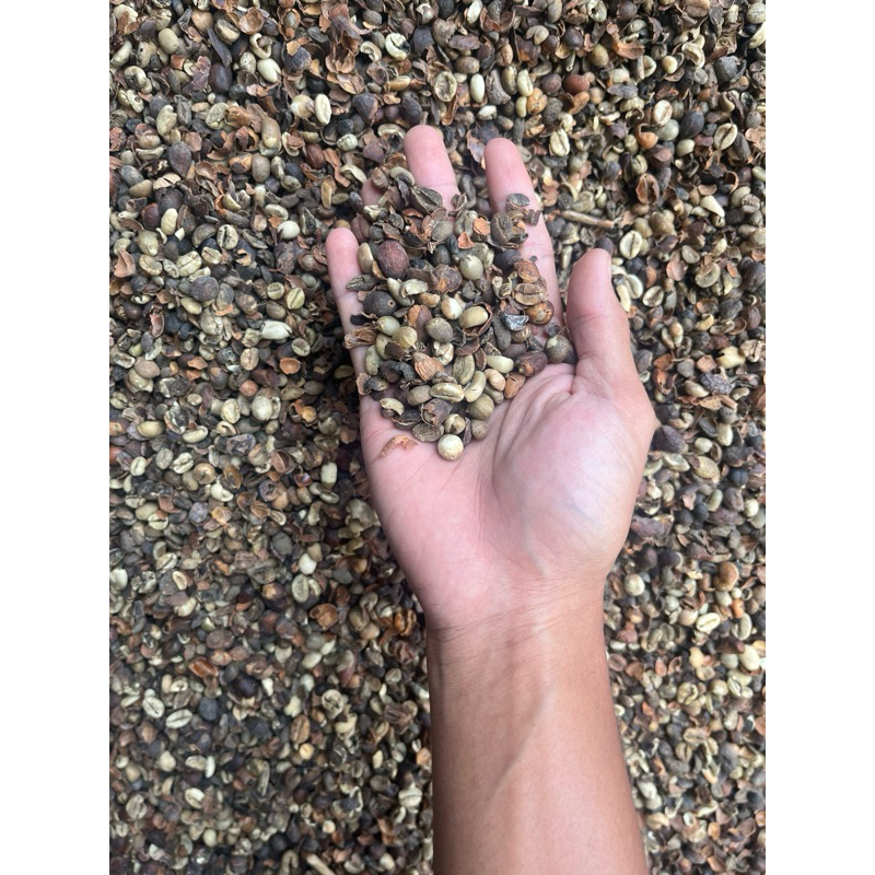 

BIJI KOPI ROBUSTA REJECT 1KG
