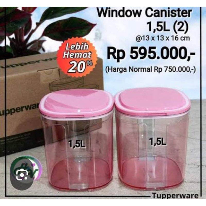 window canister 1,5L pink tupperware