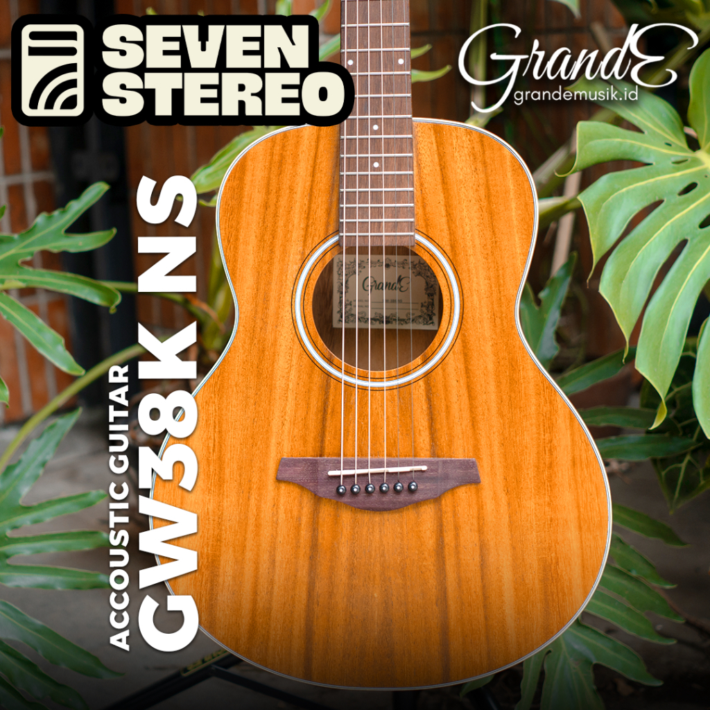 Grande GW38K GW-38K NS Acoustic Guitar Original