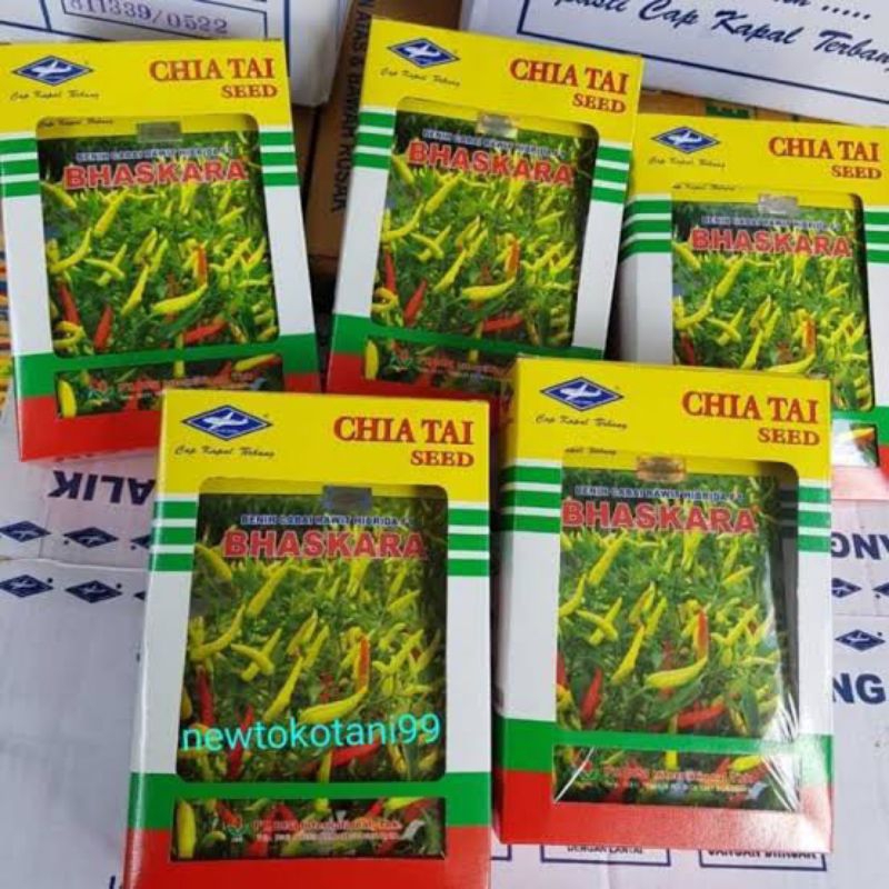 Benih cabe rawit Bhaskara f1 10 gram