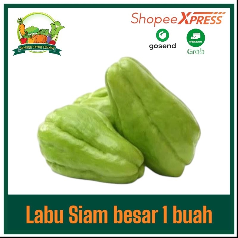 

Labu siam pilihan 1 buah ±300 gram - KIRIM INSTAN