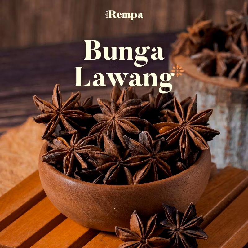 

Rempah Bunga Lawang / Pekak / Star Aniseeds Kemasan 10 gram 50gr 100gr