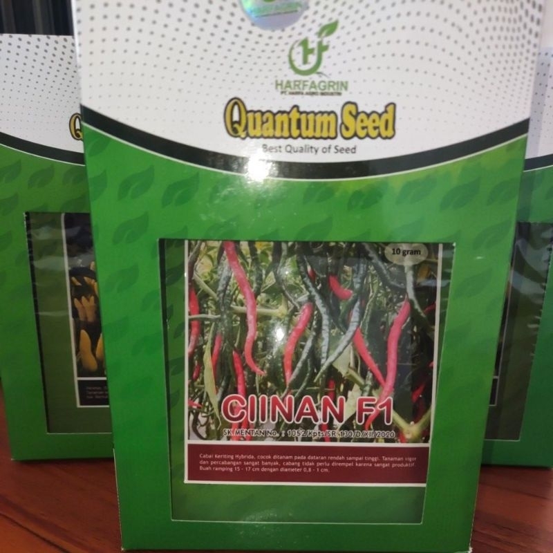 Cabe Keriting CIINAN F1