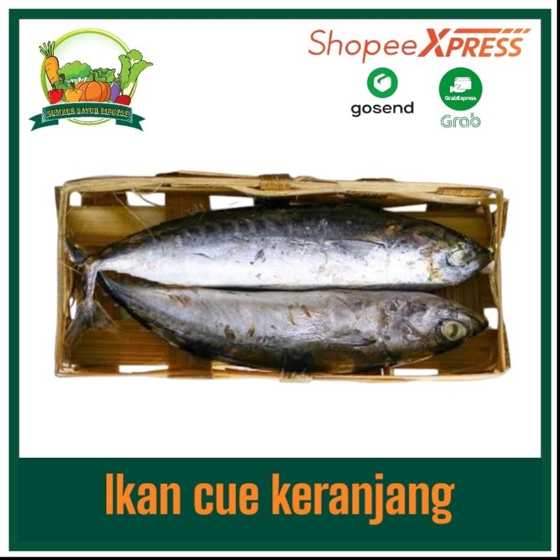 

Ikan cue keranjang - KIRIM INSTAN