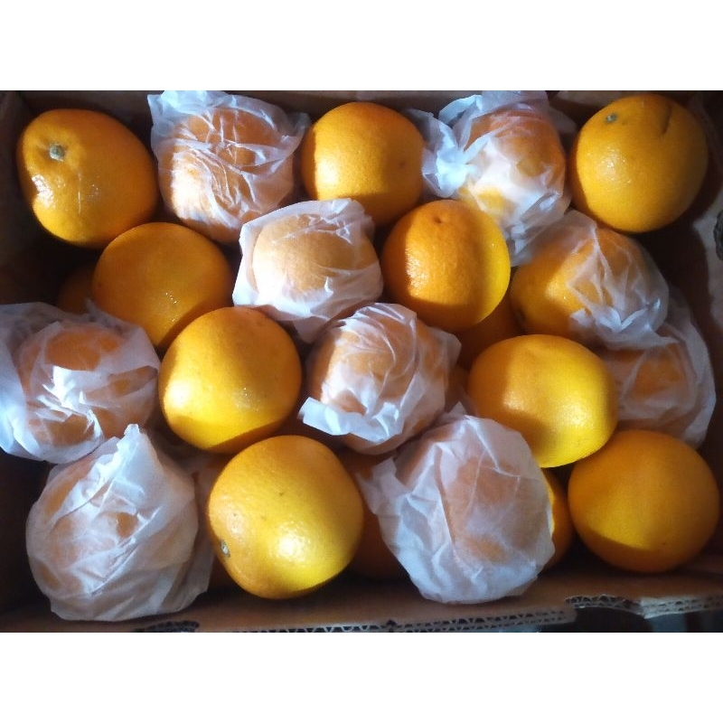 

jeruk Sunkist per 1 buah