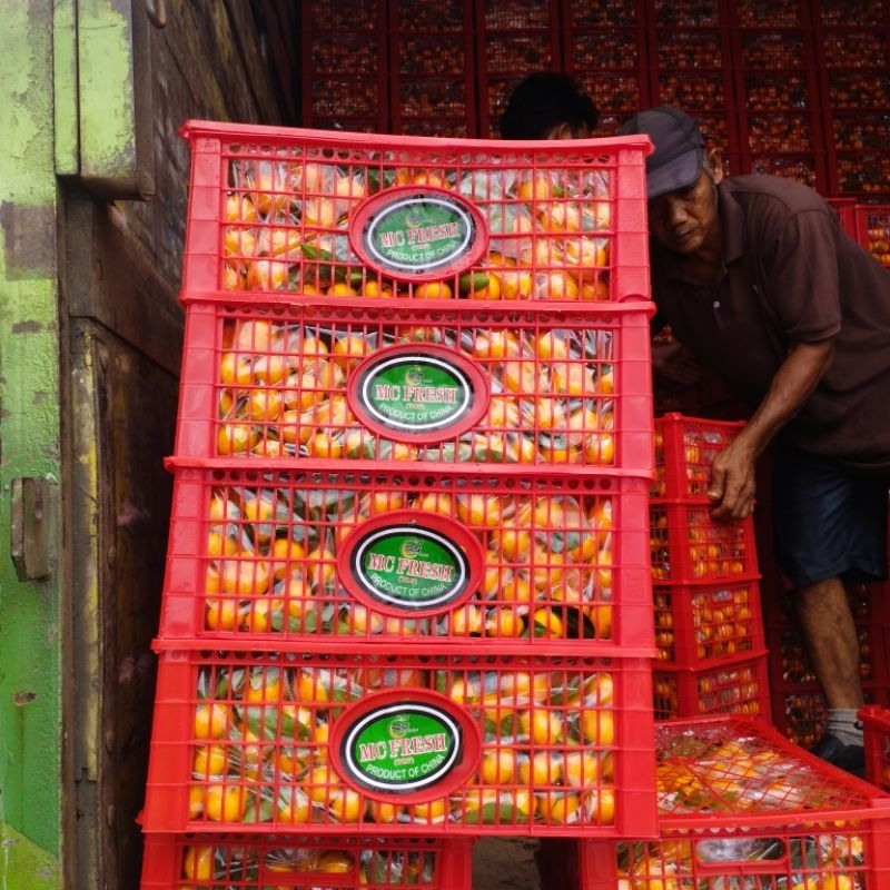 

Jeruk Santang 1 Keranjang IgnacioBox Fresh Import