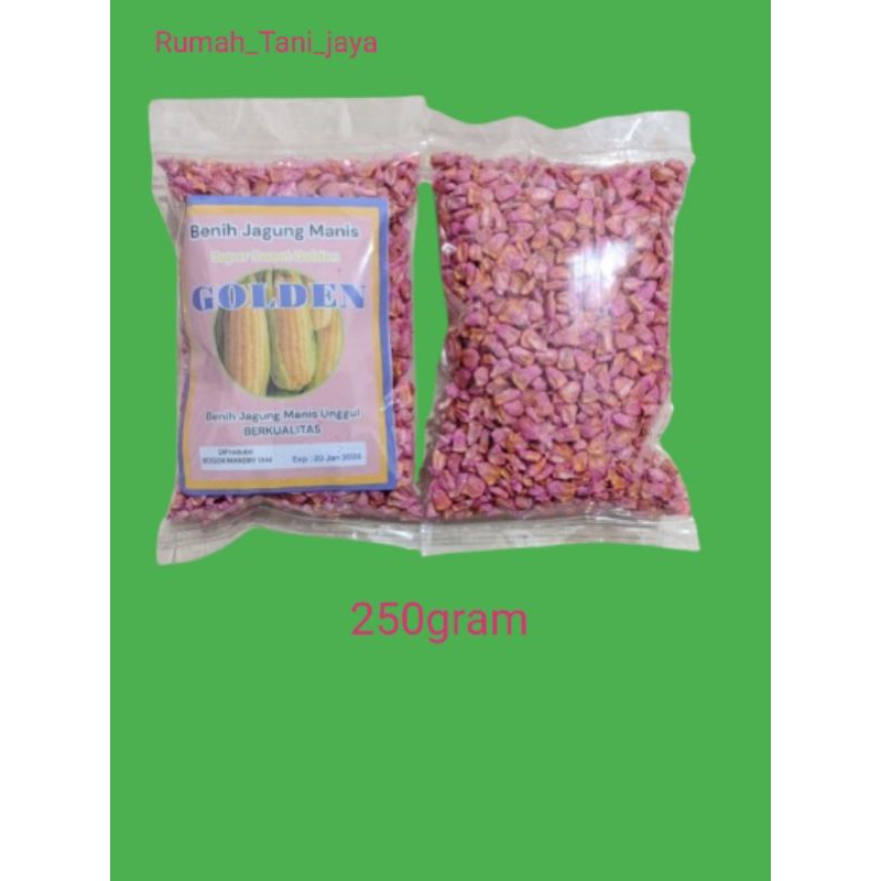 

Binih jagung manis unggul golden 250gram