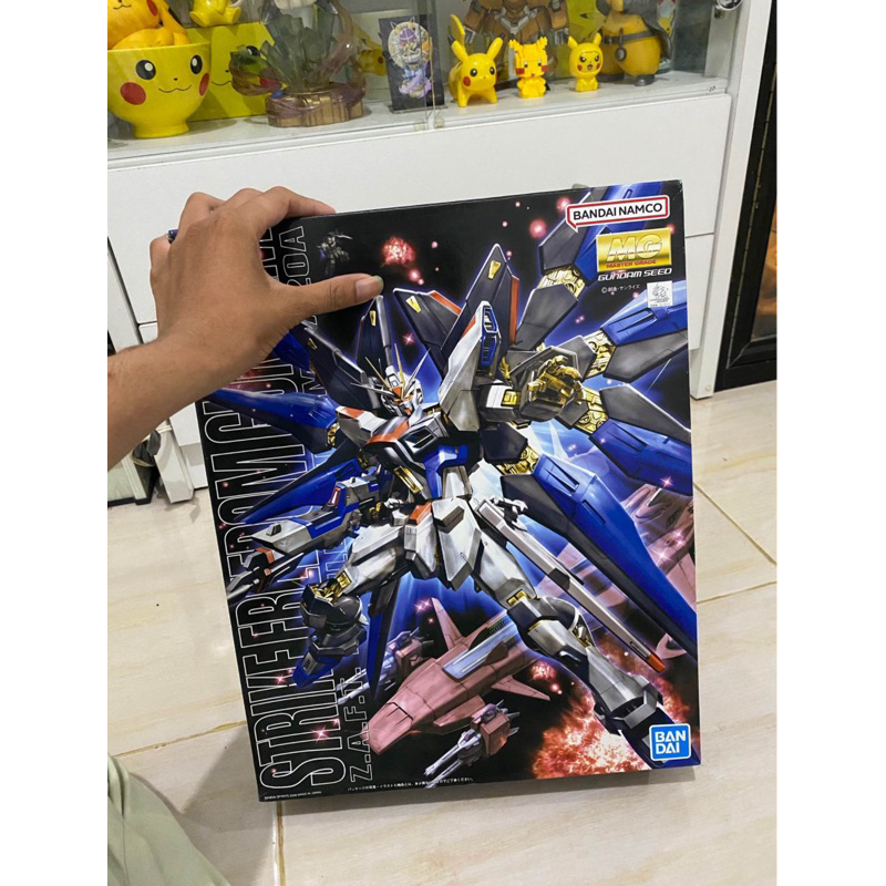MG STRIKE FREEDOM BANDAI NEW