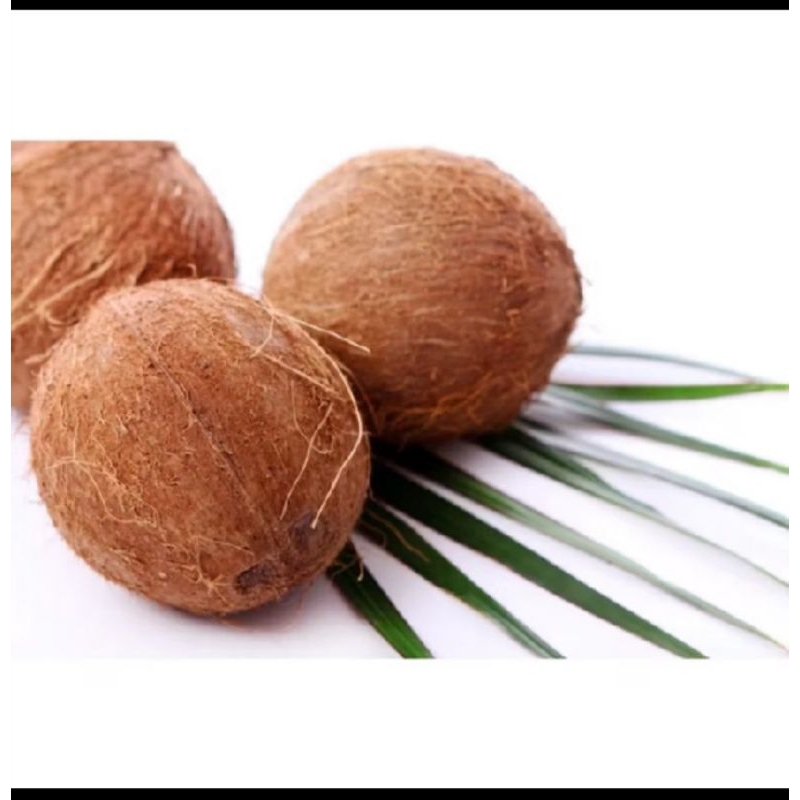 

kelapa tua butiran kupas