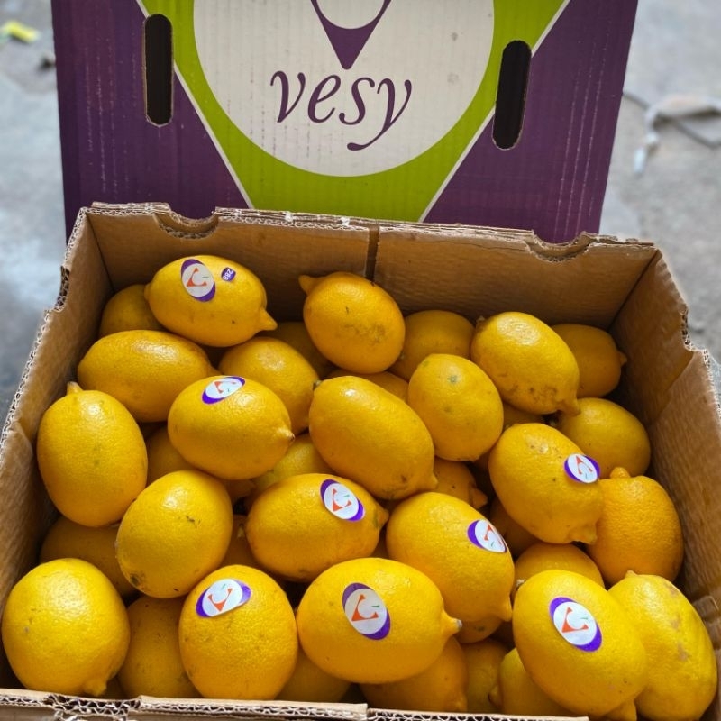 

Lemon Import RRC 1 Dus isi 14 kg Fresh Import IgnacioBox