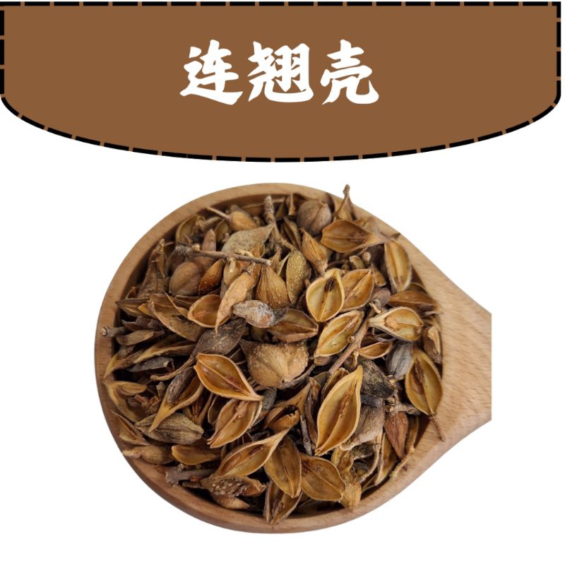 

Lian Zhao Ke/ 莲召壳/ Fructus Forsythiae