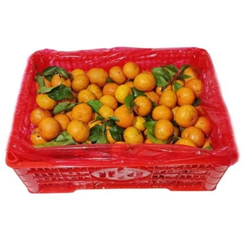 

Santang Daun 1 Keranjang +-6kg (dengan keranjangnya)