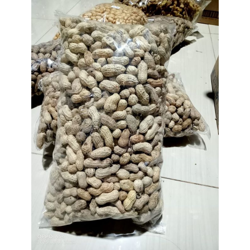

kacang asin kacang tanah oven asin gurih kacang kulit 250 gram