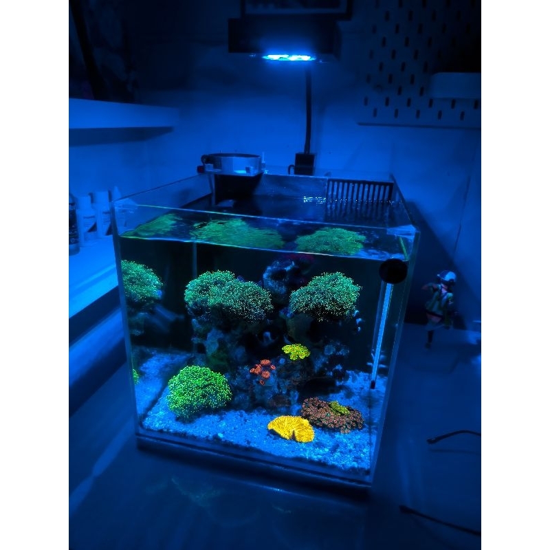 Lampu Aquarium - KMS 20 watt