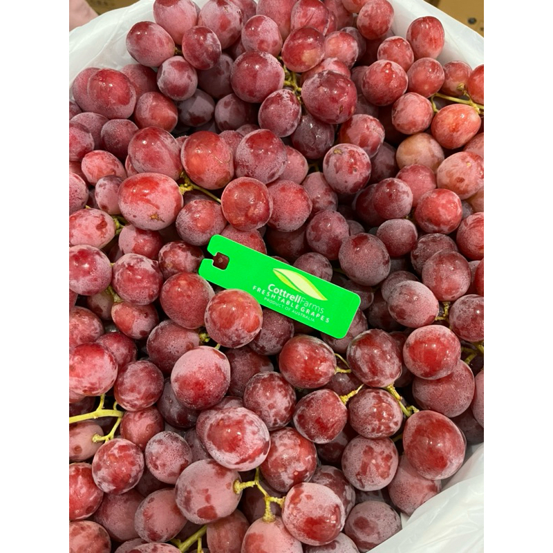 

Anggur merah Buah Red Globe Australia Buah Manis Fresh Baru ausie keras