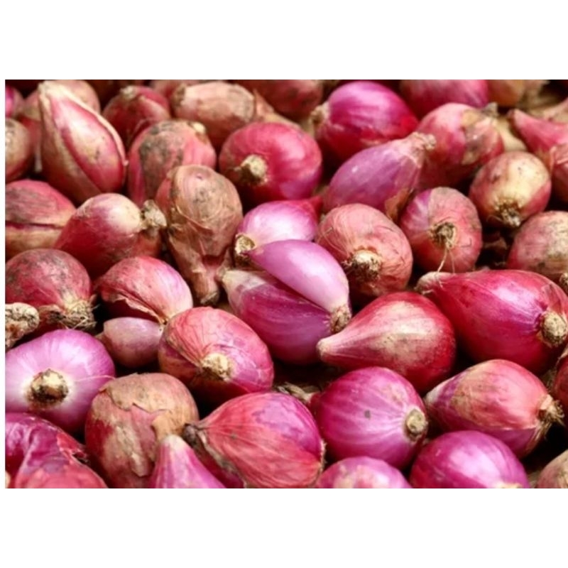 

Bawang Merah Brebes 250 gram