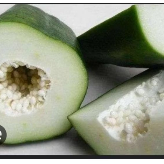 

pepaya muda perbiji (1-1,5kg)