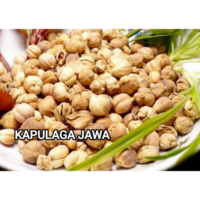 

Kapulaga Jawa Asli 100 gr