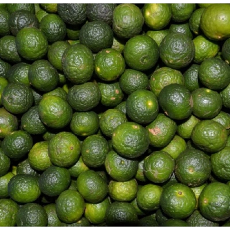 

Jeruk Limo Satuan 10pcs