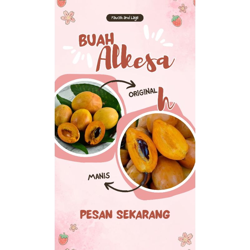 

Buah Alkesah 1 kg Buah langka buah manis legit