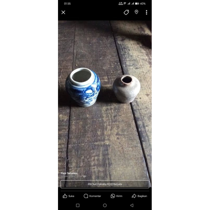 

Cupu minyak kalimantan