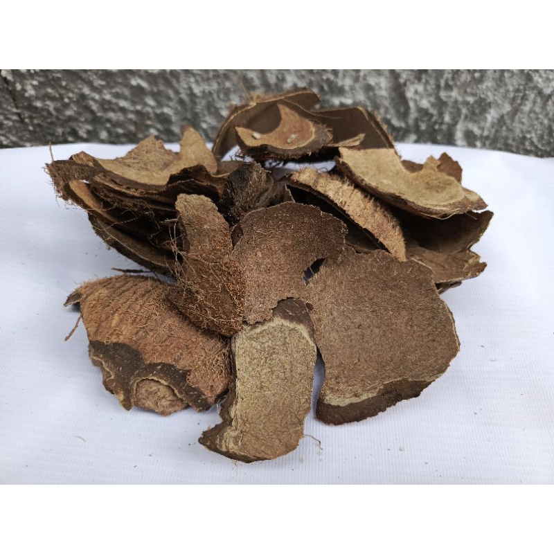 

Batok kelapa tua kering 1kg
