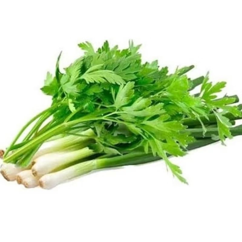 

Daun Bawang Prei dan Daun Seledri segar