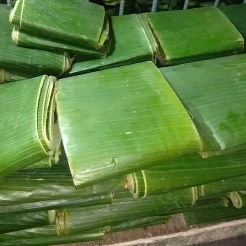 

Daun pisang segar fresh dipetik dadakan utuh 1 Ikat jumbo termurah berkualitas