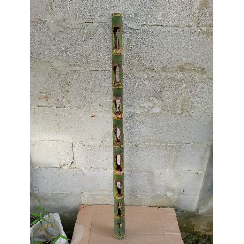 bambu combong alami tembus karya alam