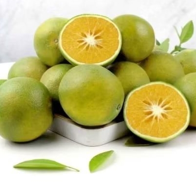 

Jeruk Baby Java Malang Fresh/Jeruk Manis/Jeruk MPASI berat 1Kg