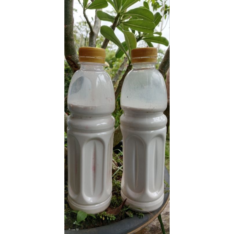 Latex alam, cair asli murni untuk racikan pulut, lem perekat busa kasur isi 300mil/botol