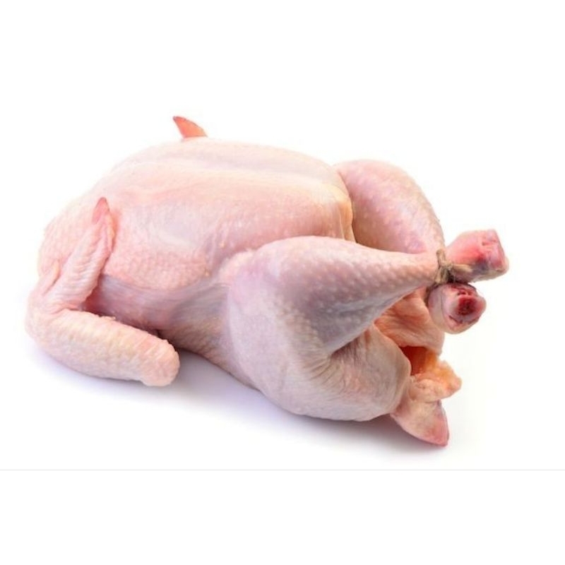 

Ayam Segar Utuh berat 900grm- 1.2kg Promo