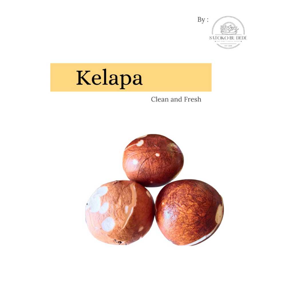 

Kelapa