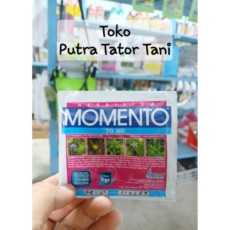 MOMENTO 20 WP HERBISIDA