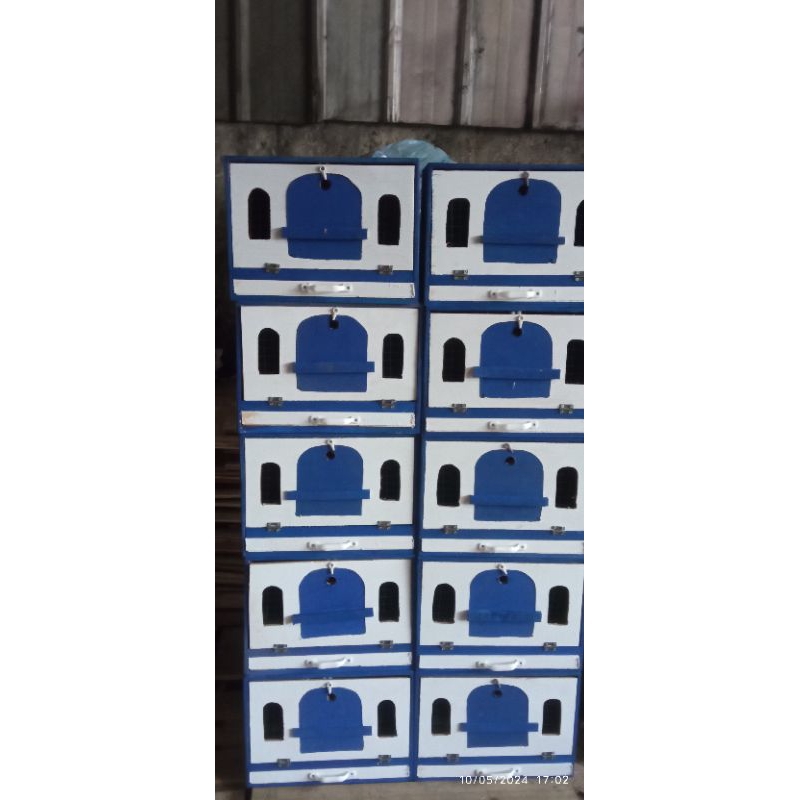 gufon merpati.kandang burung dara